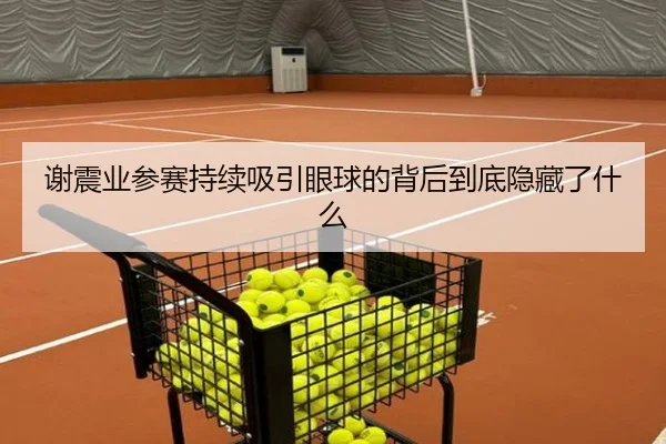 谢震业参赛持续吸引眼球的背后到底隐藏了什么 - j9